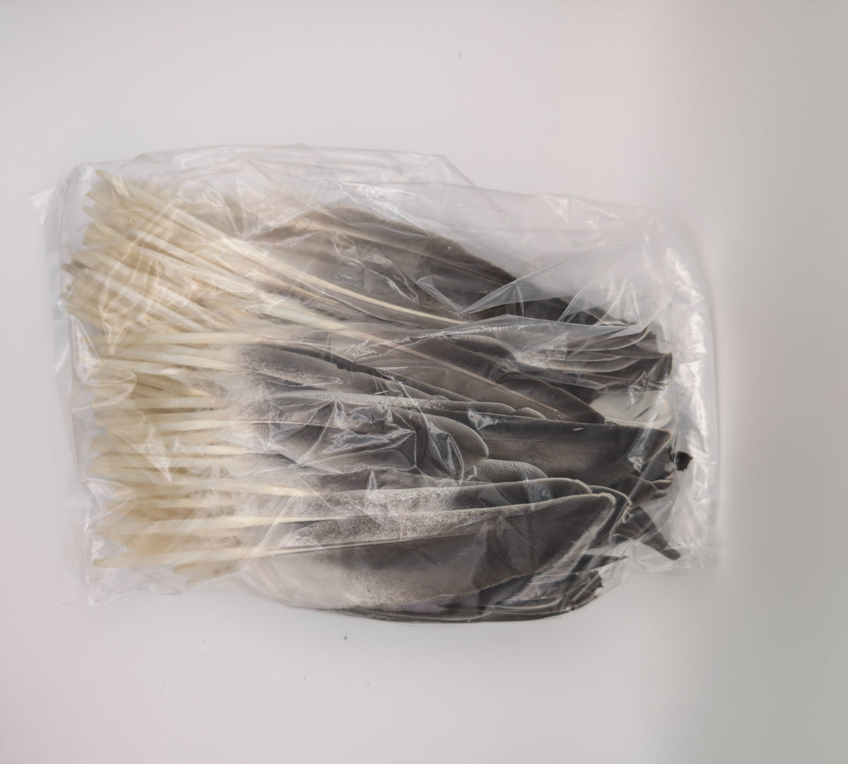 7" Goose Spike Feathers 50/pk