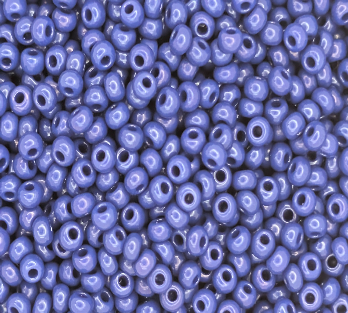 10/0 Czech Seed Bead - Opaque Dark Royal Blue