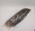10" Natural Barred Turkey Feathers 25/pk