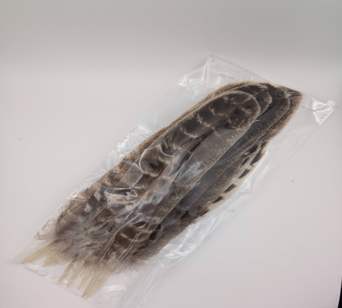10" Natural Barred Turkey Feathers 25/pk